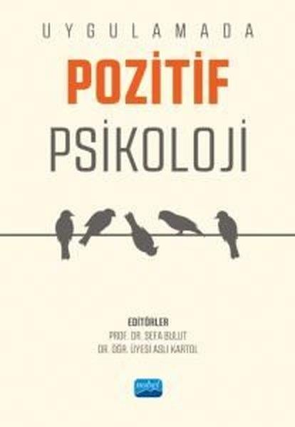 KolektifDigerUygulamada Pozitif Psikoloji