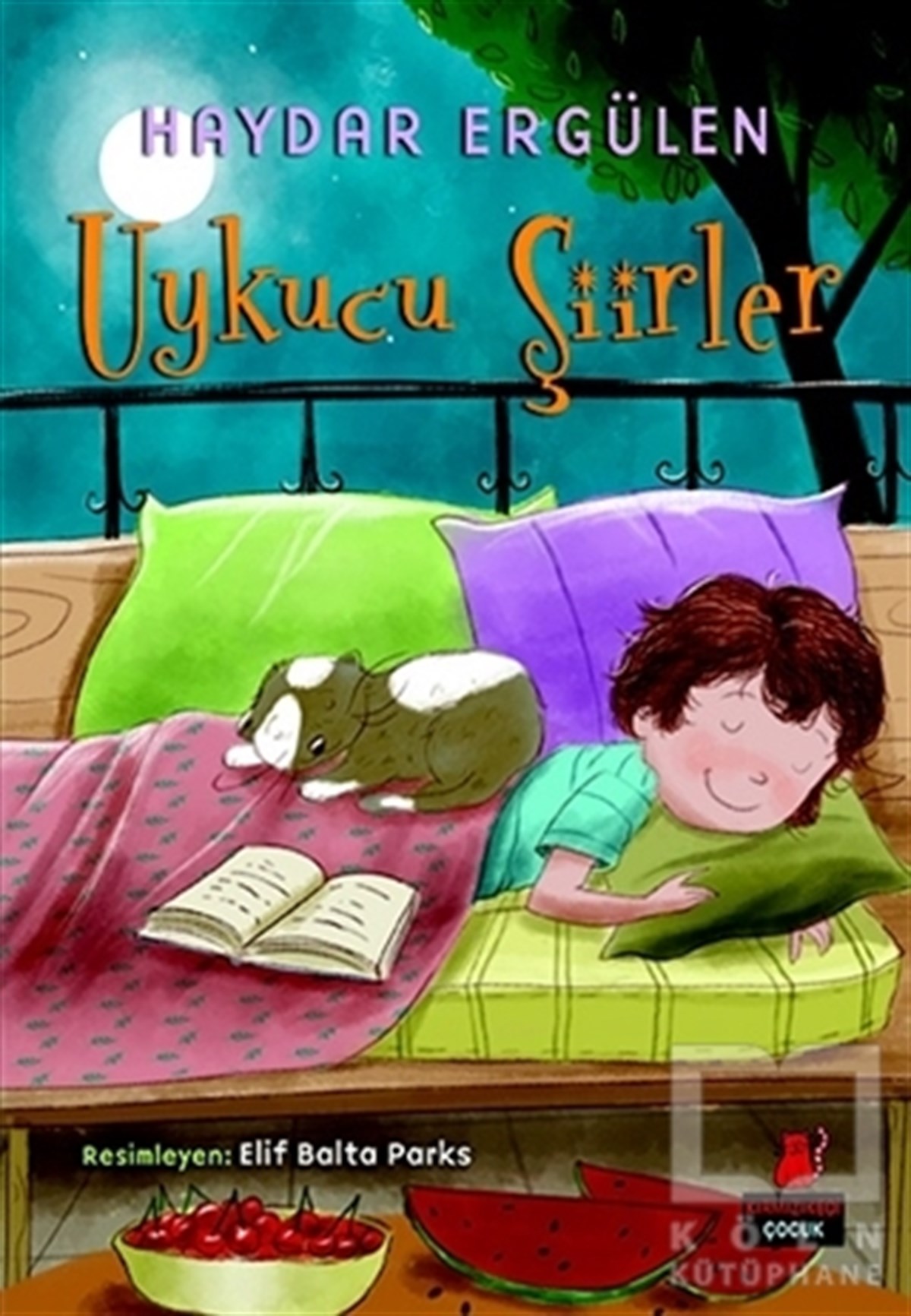 Haydar ErgülenŞiir KitaplarıUykucu Şiirler