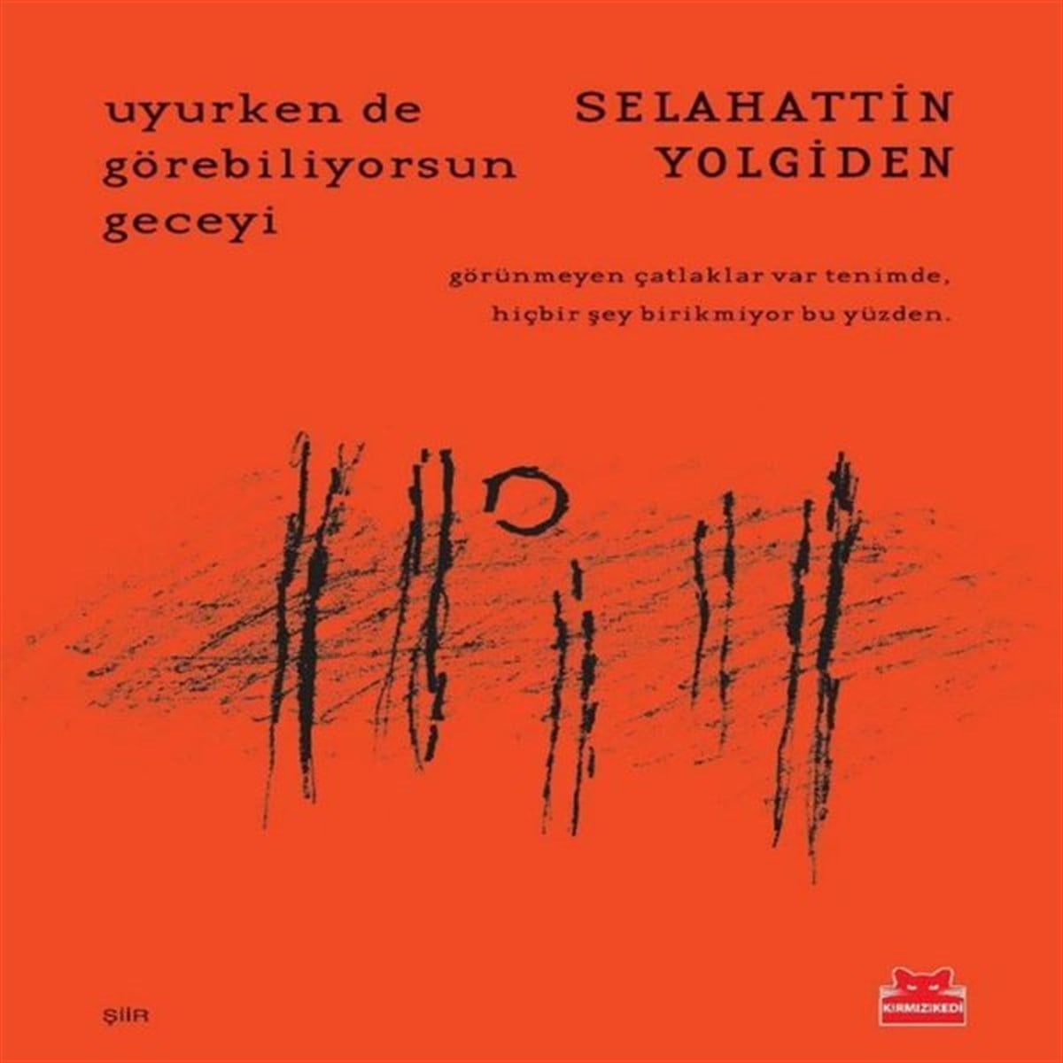Selahattin YolgidenTürk ŞiiriUyurken de Görebiliyorsun Geceyi