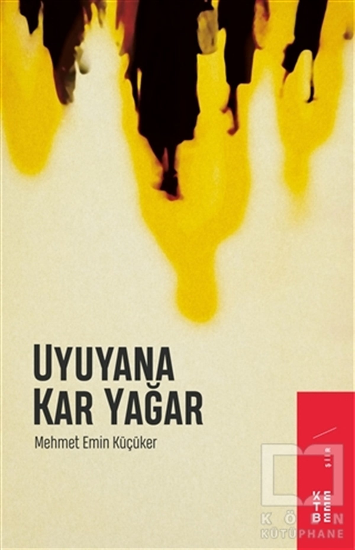 Mehmet Emin KüçükerTürkçe Şiir KitaplarıUyuyana Kar Yağar
