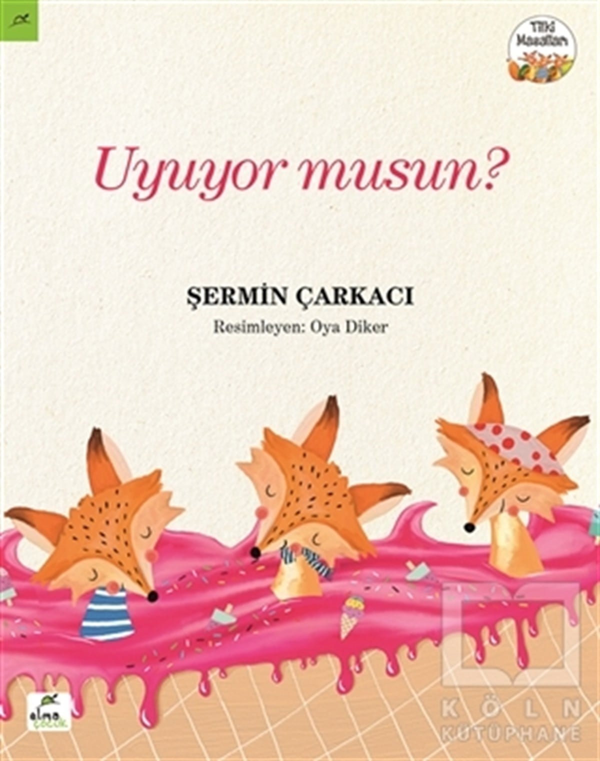 Şermin ÇarkacıHikayelerUyuyor musun?