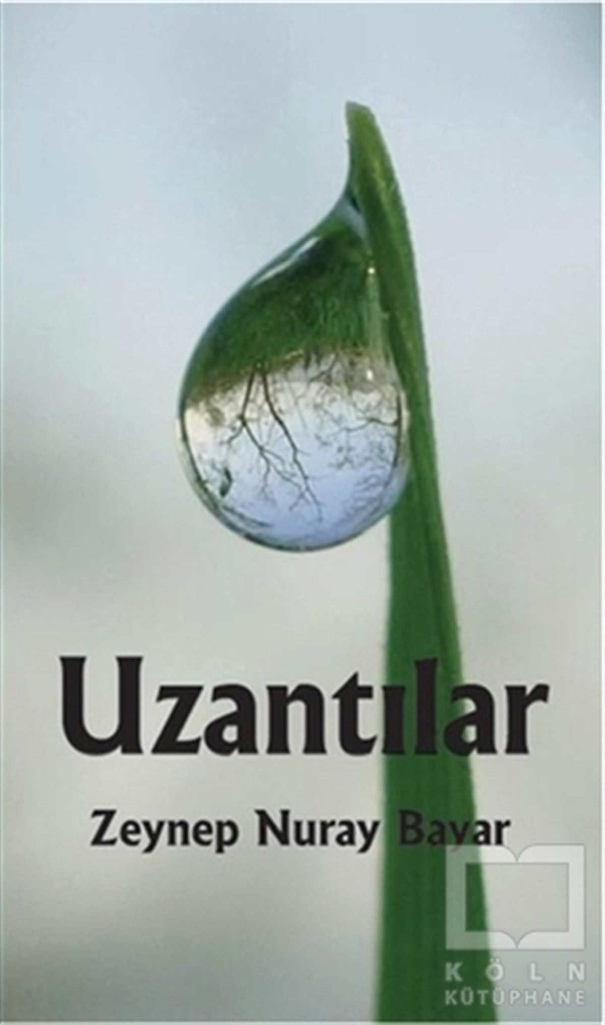 Zeynep Nuray BayarŞiirUzantılar