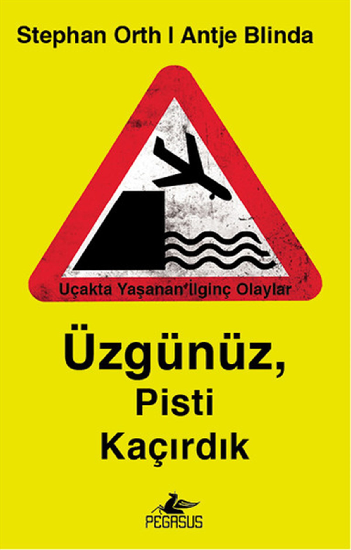 Duygu BolutMizah Romani - ÖyküÜzgünüz, Pisti Kaçırdık