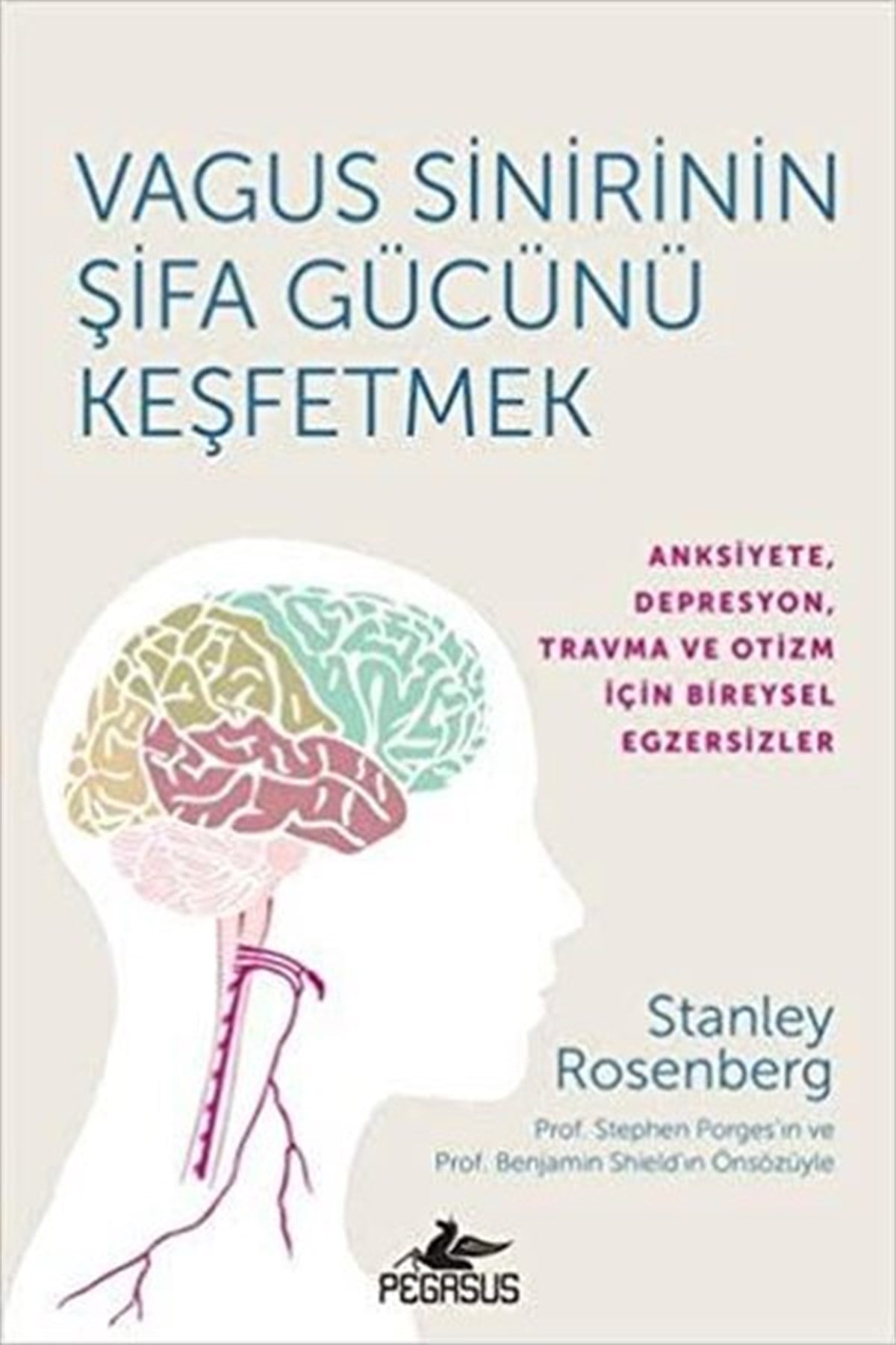 Stanley RosenbergPopüler Bilim KitaplarıVagus Sinirinin Şifa Gücünü Keşfetmek