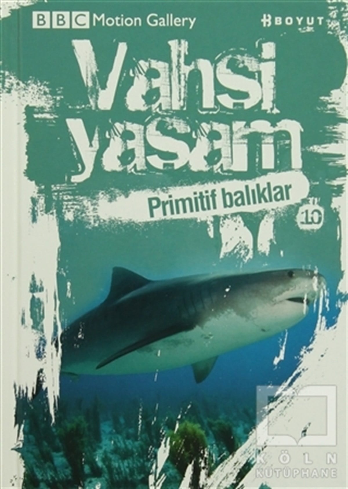 KolektifDiğerVahşi Yaşam 2 - Primitif Balıklar
