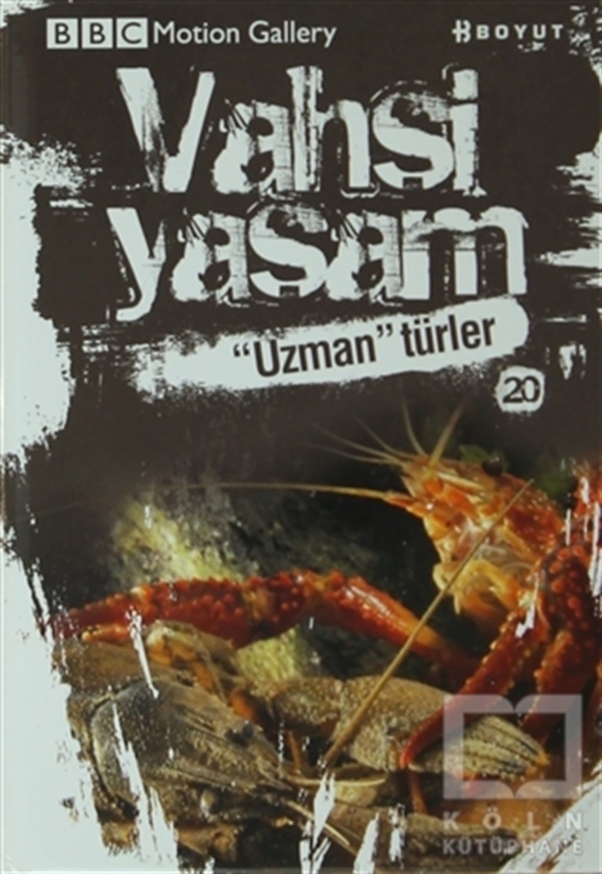 Amy-Jane BeerDiğerVahşi Yaşam 2 - Uzman Türler