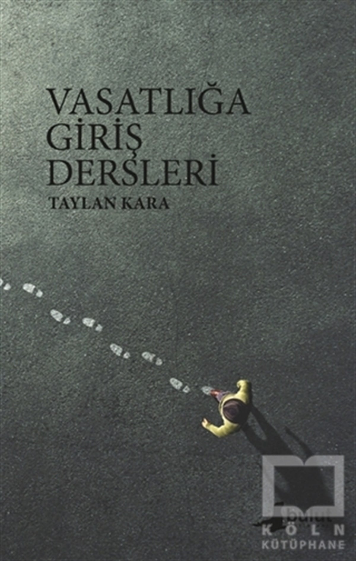 Taylan KaraDeneme KitaplarıVasatlığa Giriş Dersleri