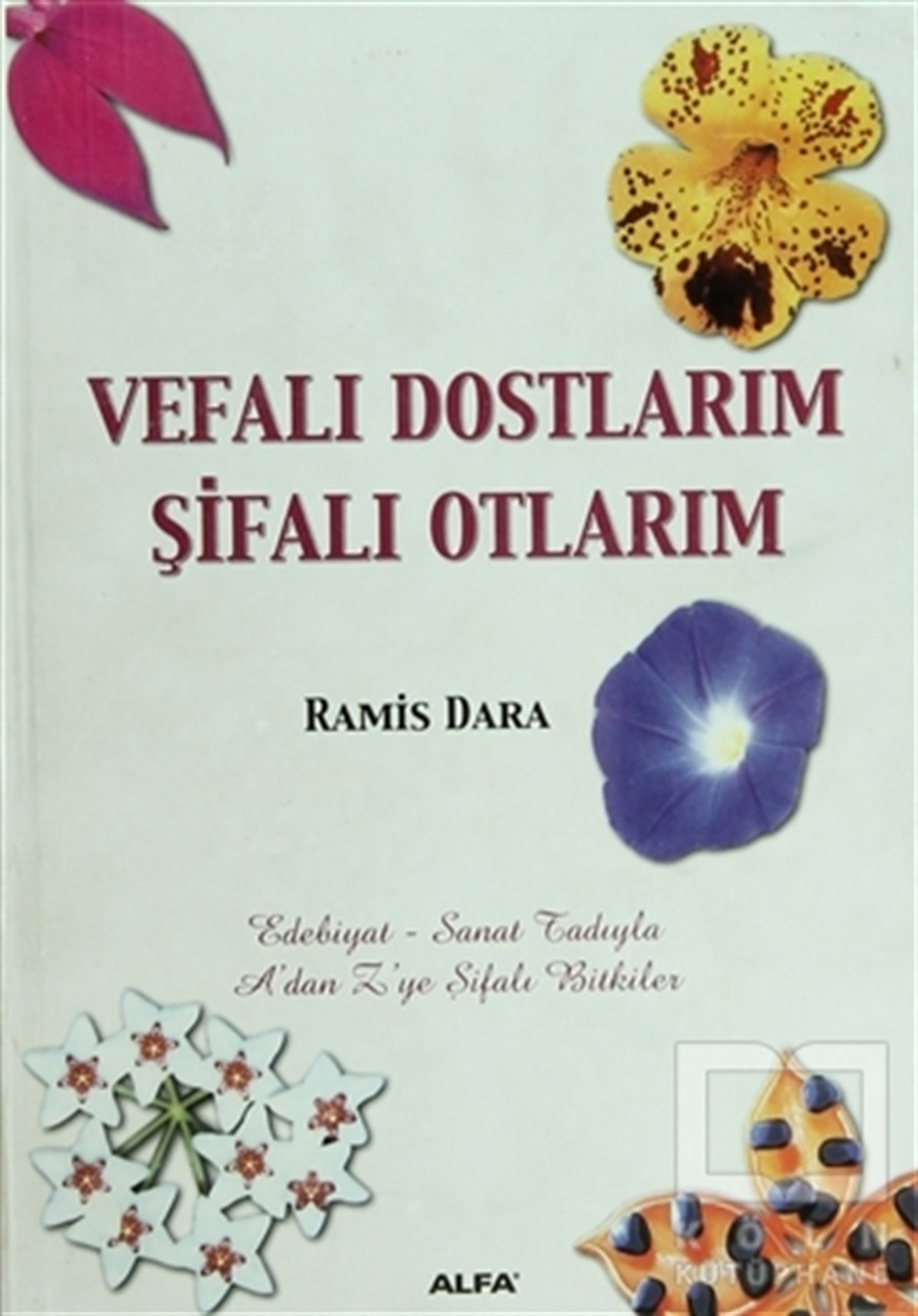 Ramis DaraAlternatif Tıp, Şifalı BitkilerVefalı Dostlarım  Şifalı Otlarım