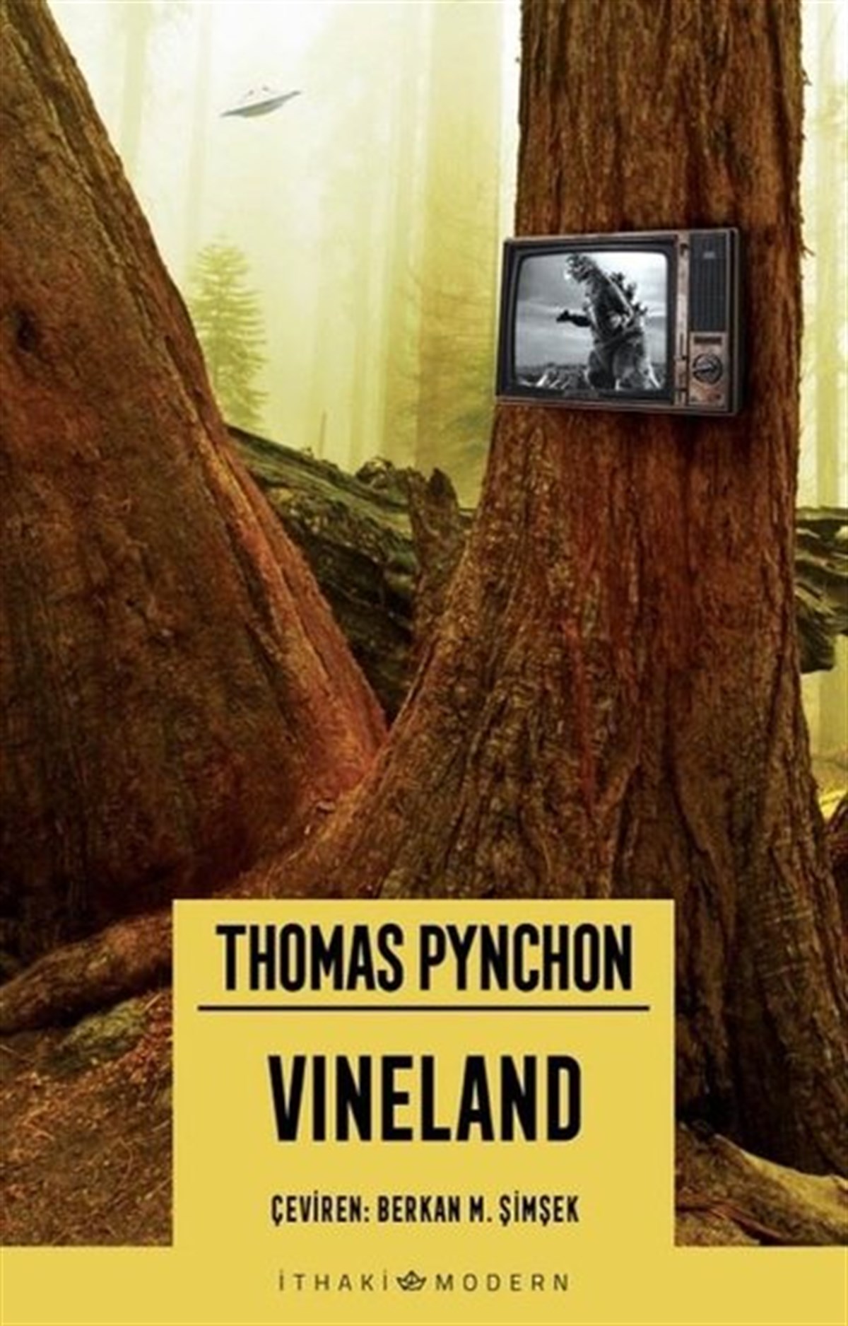 Thomas PynchonDünya RomanVineland