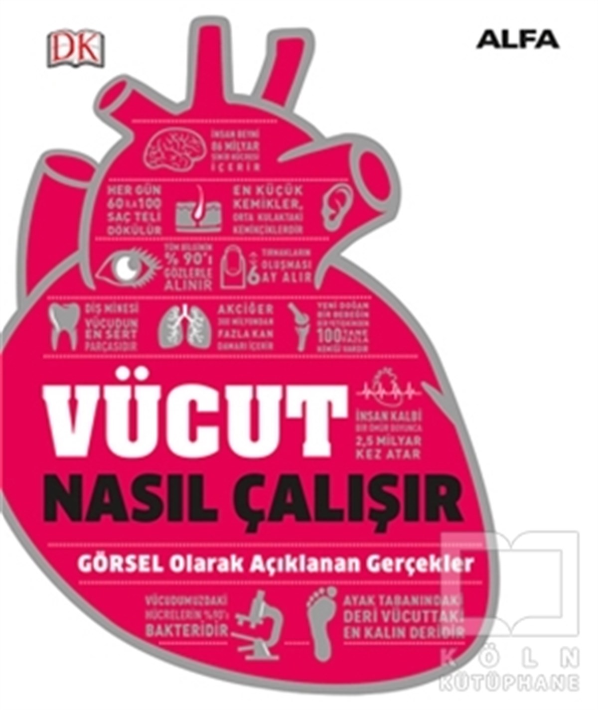 KolektifBaşvuru KitaplarıVücut Nasıl Çalışır