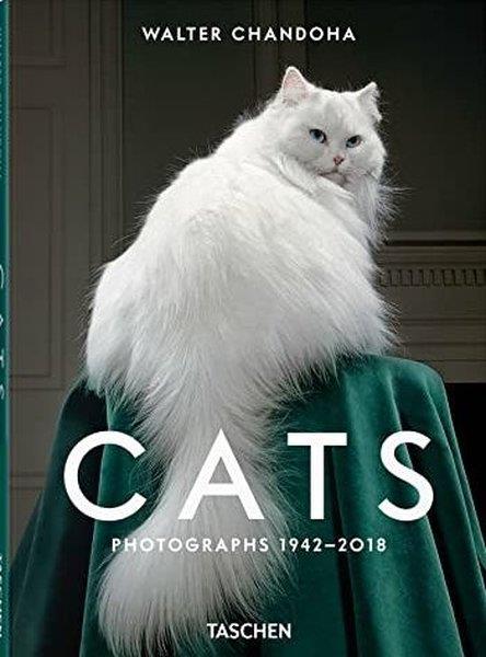 Susan MichalsPhotographyWalter Chandoha. Cats. Photographs 1942-2018