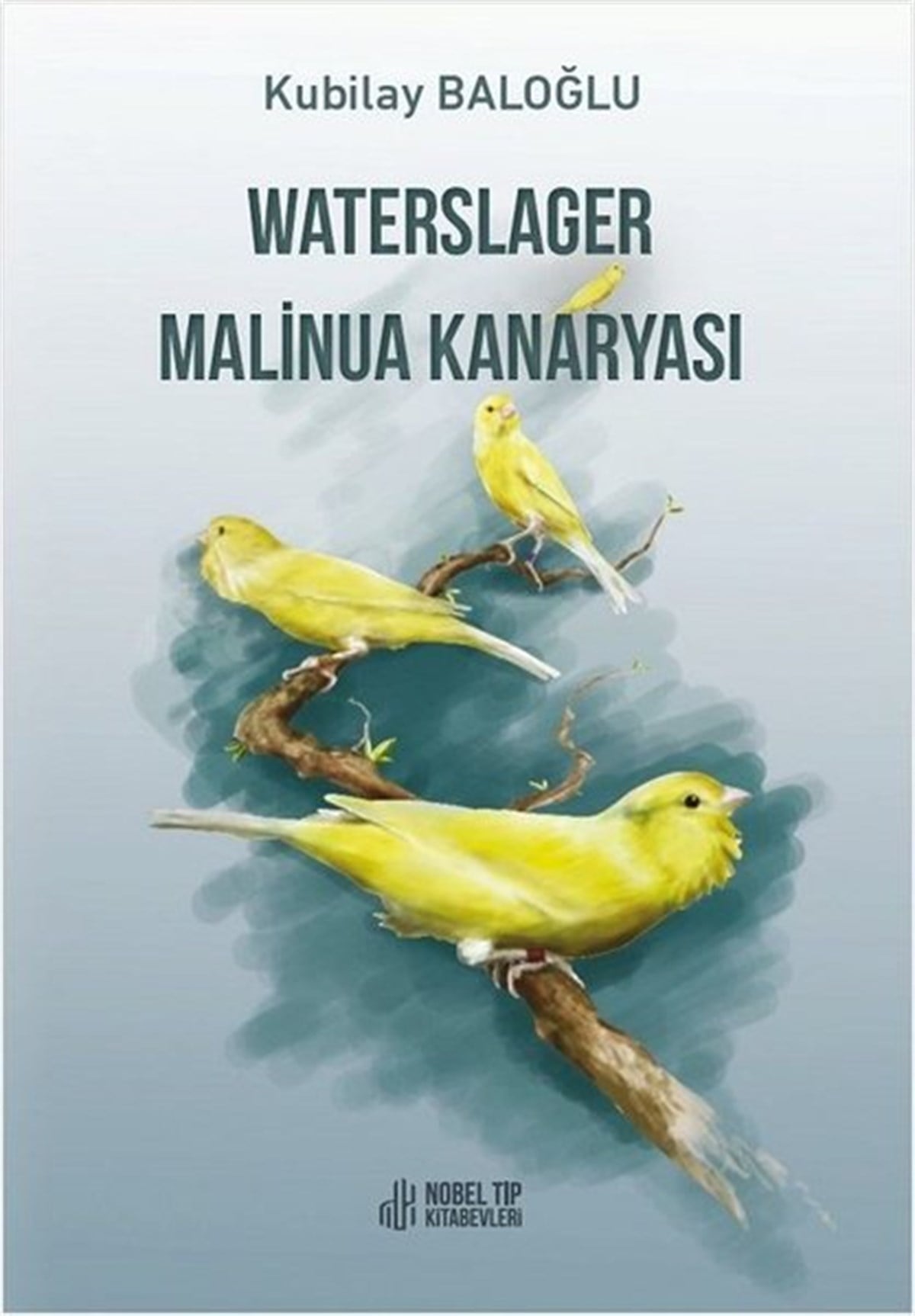 Kubilay BaloğluEğitimWaterslager Malinua Kanaryası