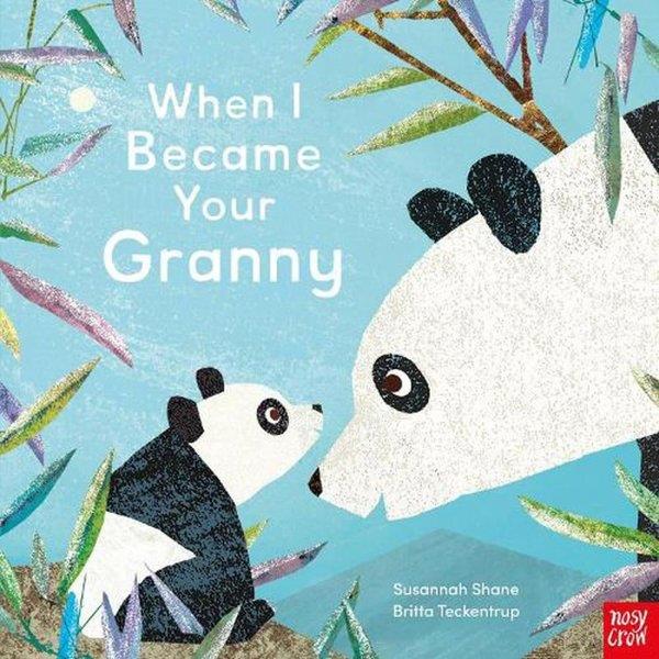 Susannah ShanePreschoolWhen I Became Your Granny Pb