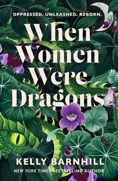Kelly BarnhillChildren InterestWhen Women Were Dragons