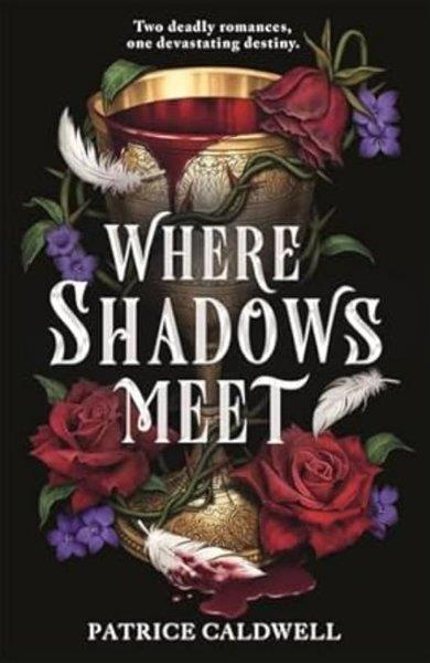 Louie StowellSci-Fi&FantasyWhere Shadows Meet