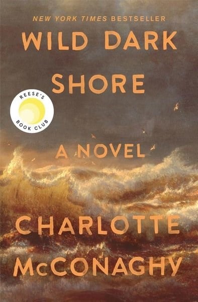 Charlotte McconaghyLiteratureWild Dark Shore