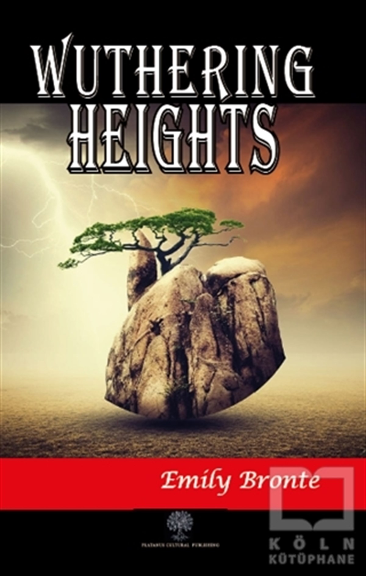 Emily BronteTürkçe RomanlarWuthering Heights