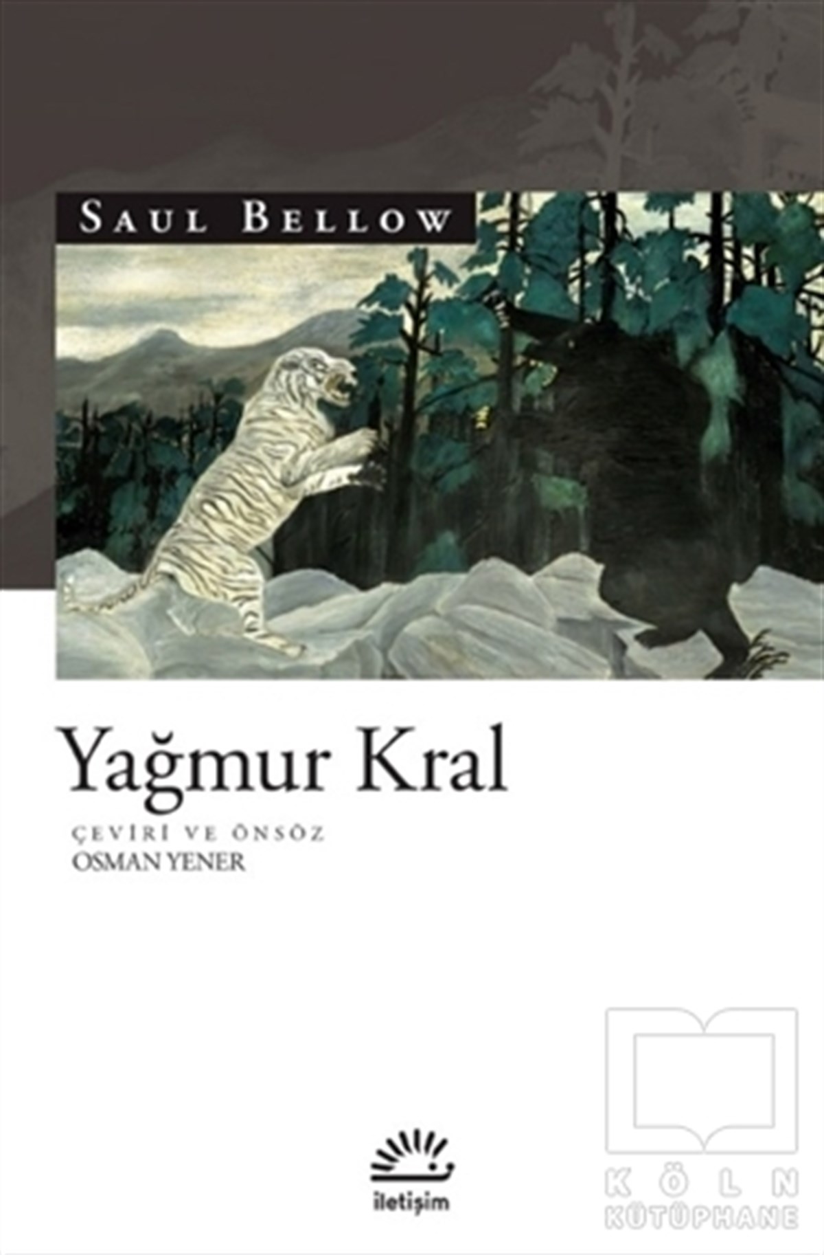 Saul BellowTürkçe RomanlarYağmur Kral
