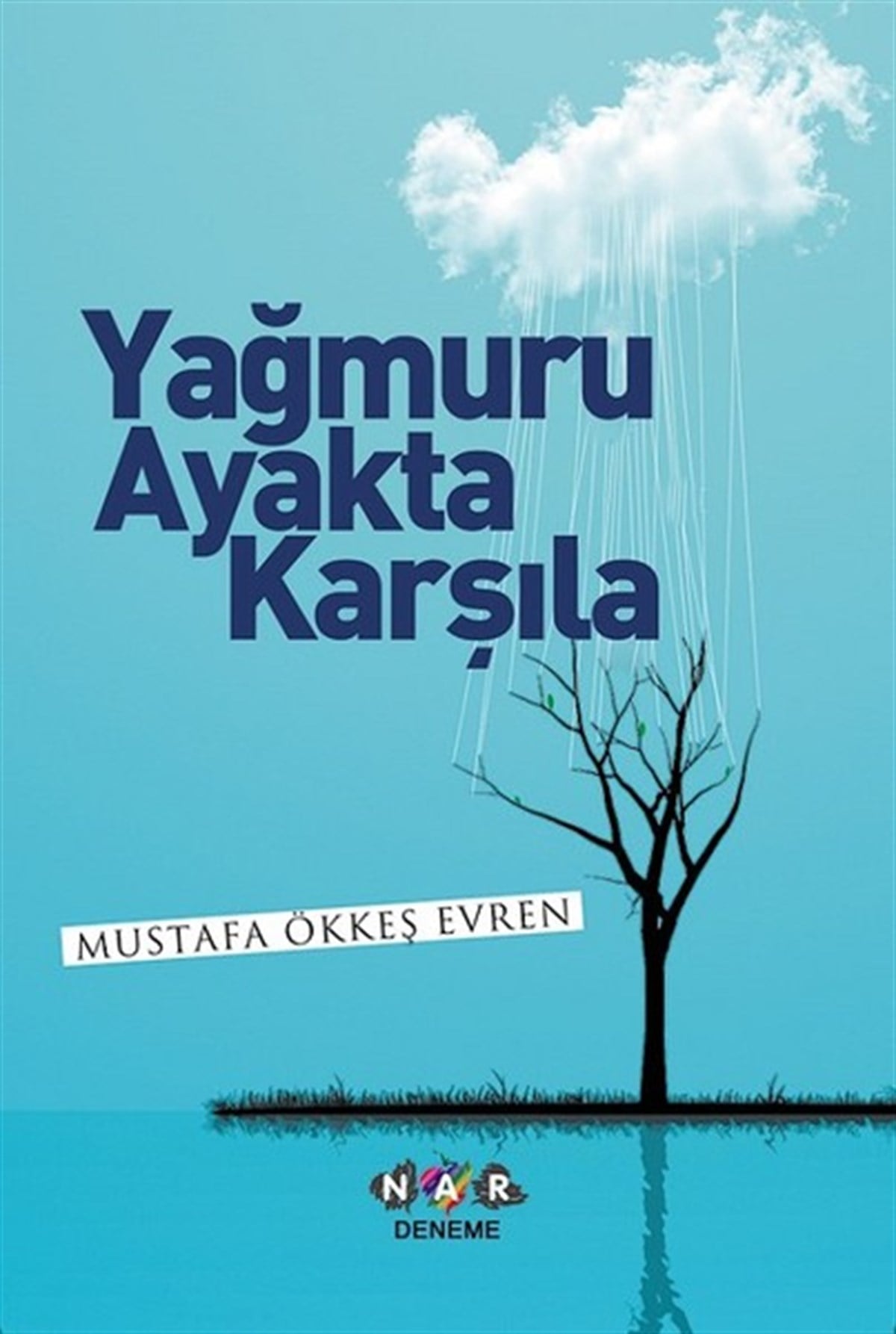 Ökkeş EvrenDeneme KitaplarıYağmuru Ayakta Karşıla