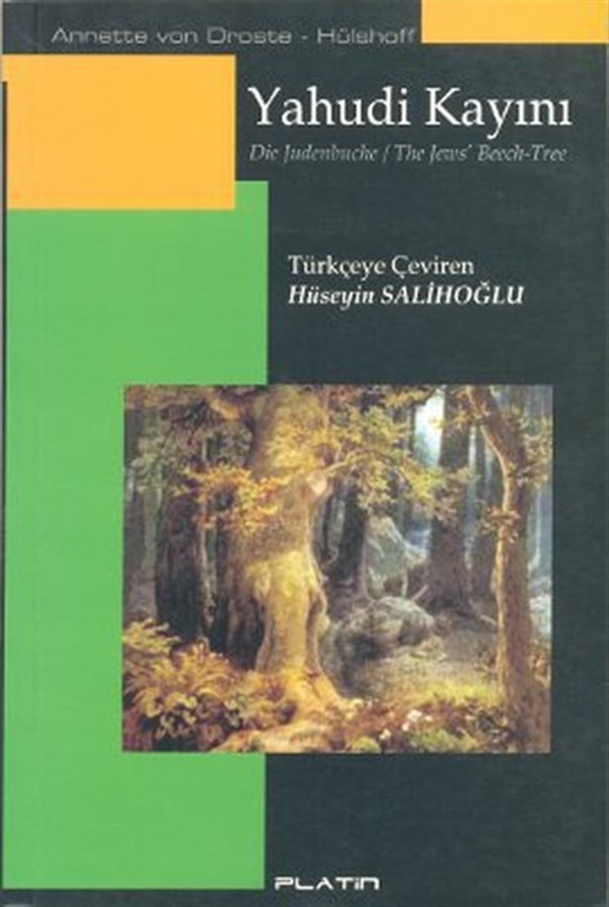 Annette Von Droste-HülshoffDünya KlasikleriYahudi Kayını