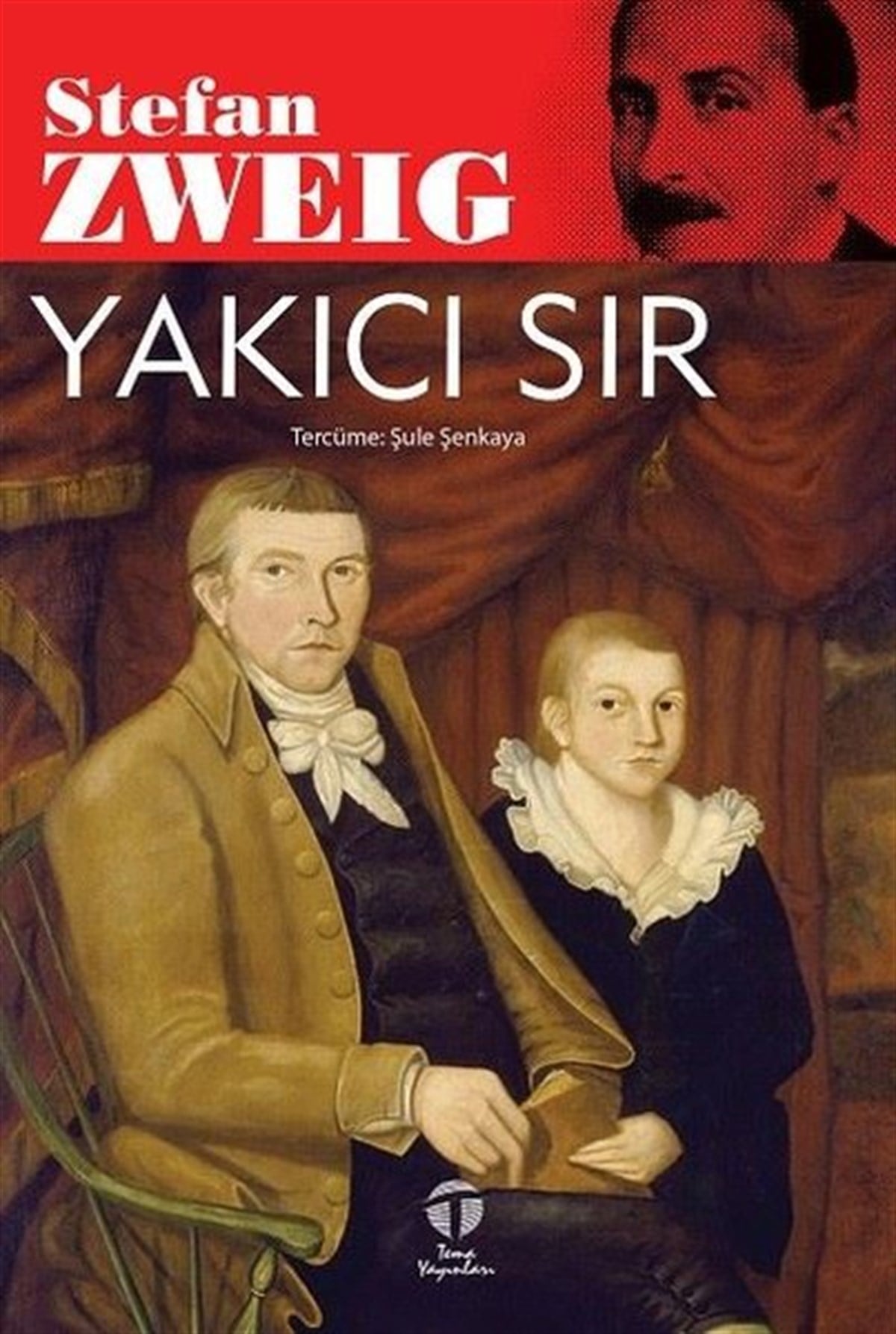 Stefan ZweigDünya RomanYakıcı Sır