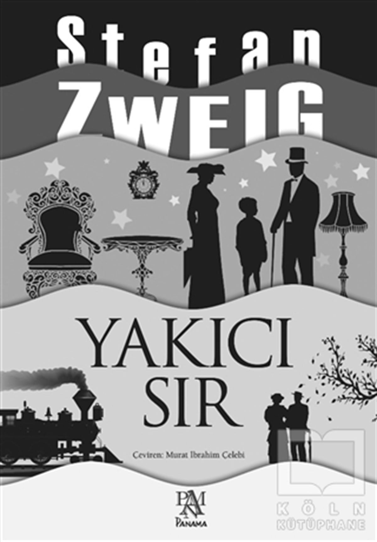 Stefan ZweigRomanYakıcı Sır