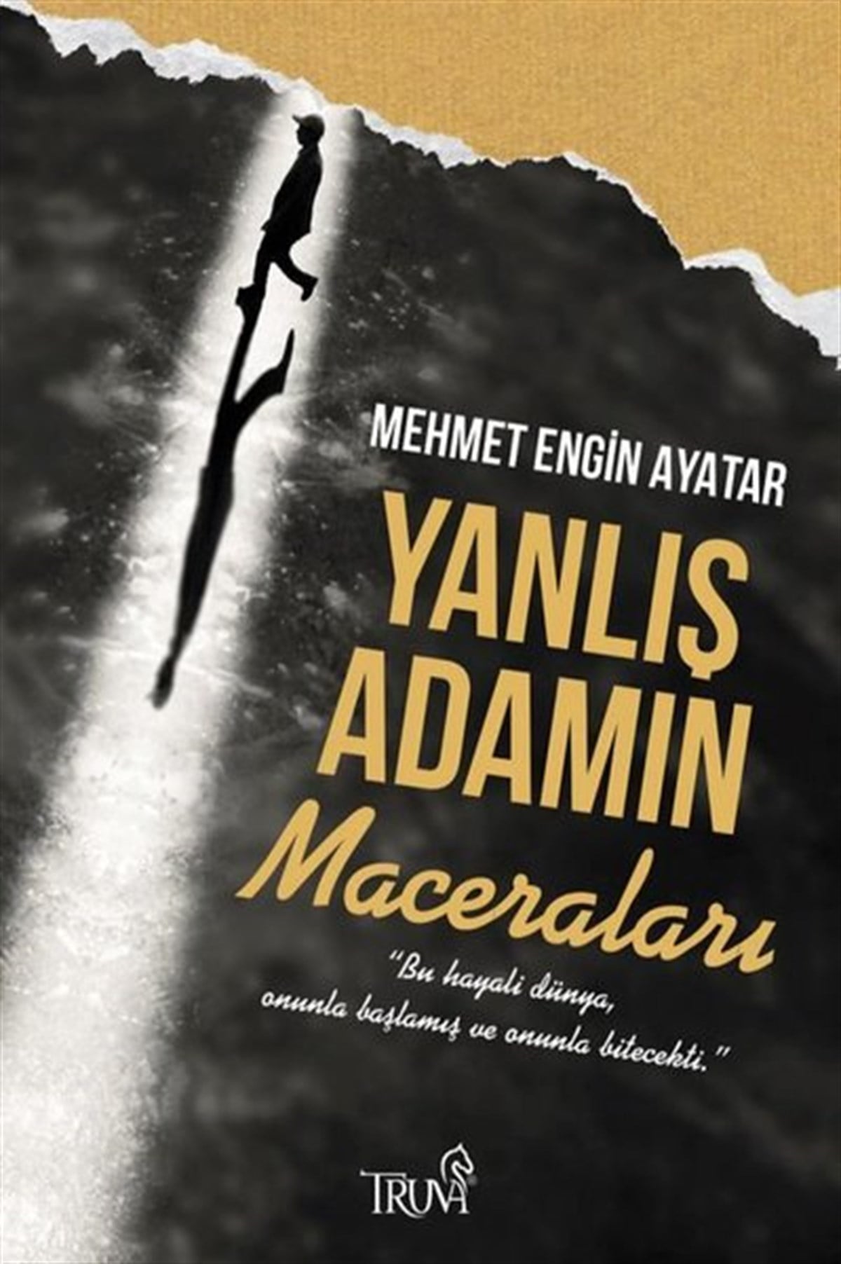 Mehmet Engin AyatarTürkiye RomanYanlış Adamın Maceraları
