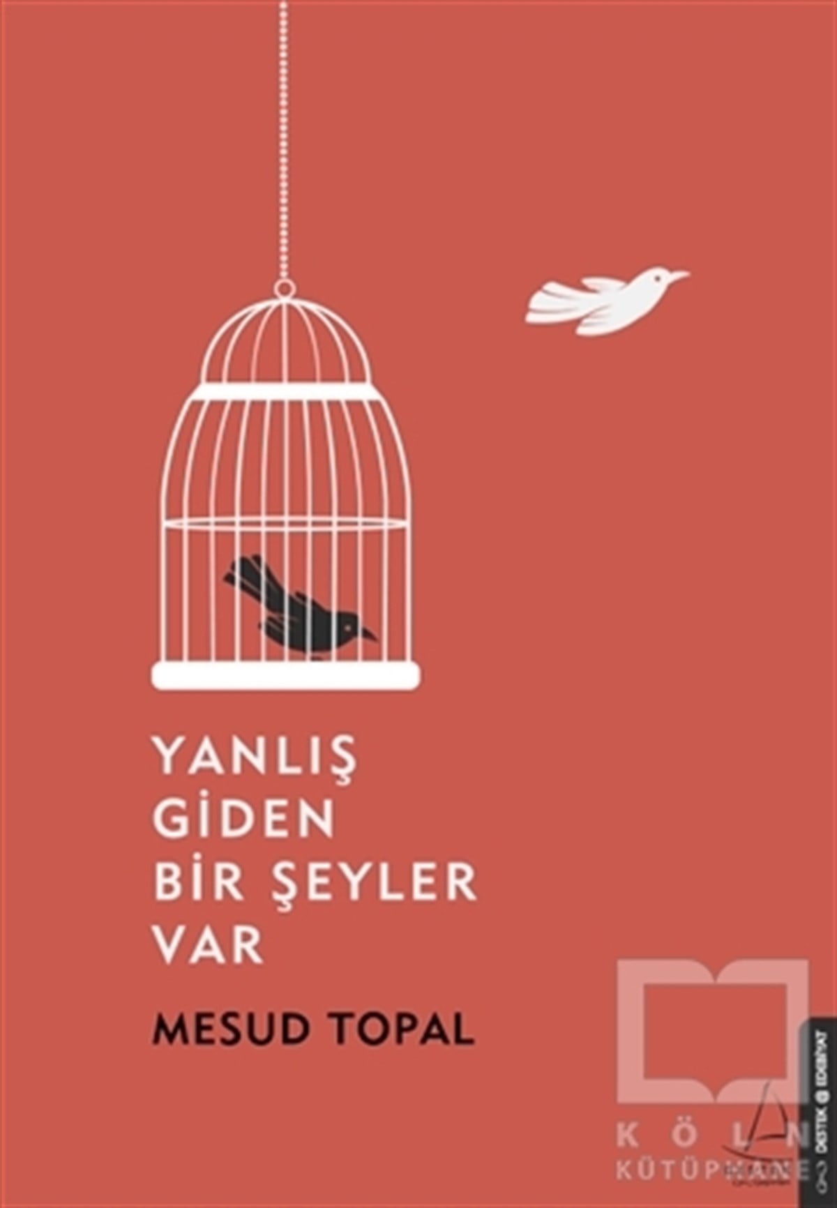 Mesud TopalDenemeYanlış Giden Bir Şeyler Var