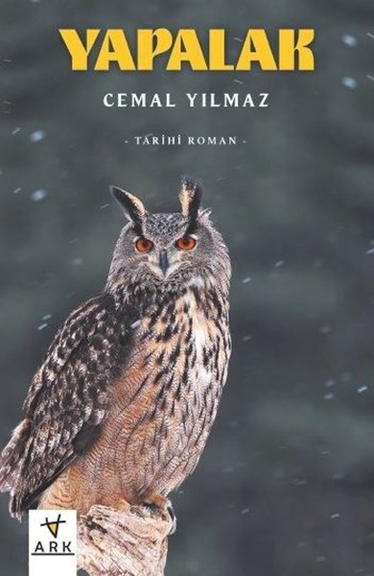 Cemal YılmazTürkiye RomanYapalak