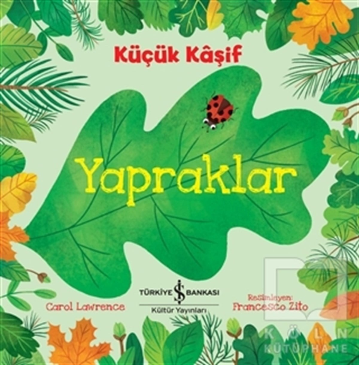Carol LawrenceOkul Öncesi Çocuk KitaplarıYapraklar - Küçük Kaşif