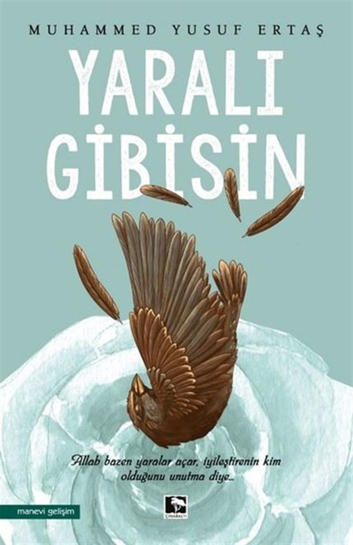 Muhammed Yusuf ErtaşKişisel Gelişim KitaplarıYaralı Gibisin