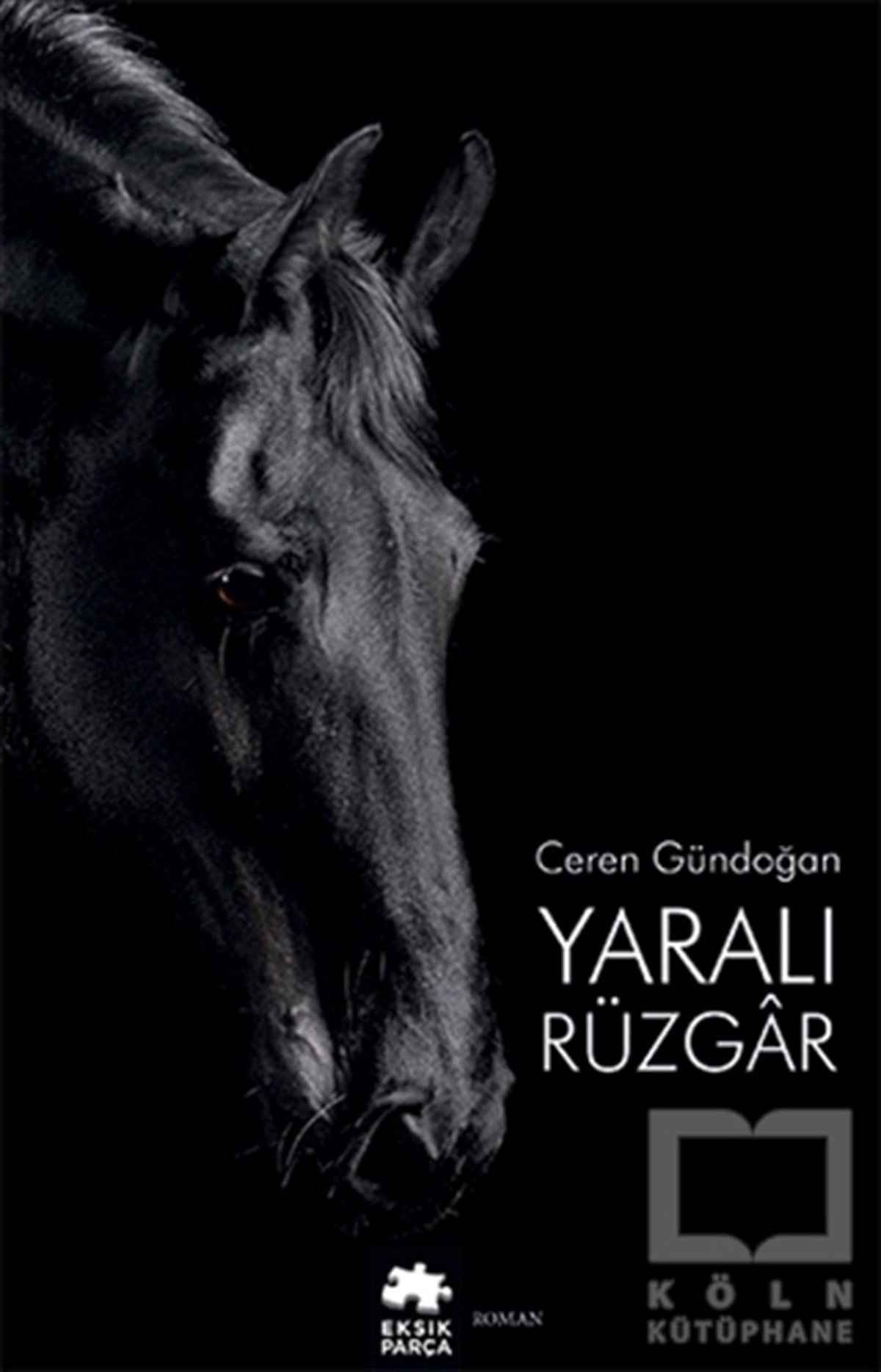 Ceren GündoğanTürkçe RomanlarYaralı Rüzgar