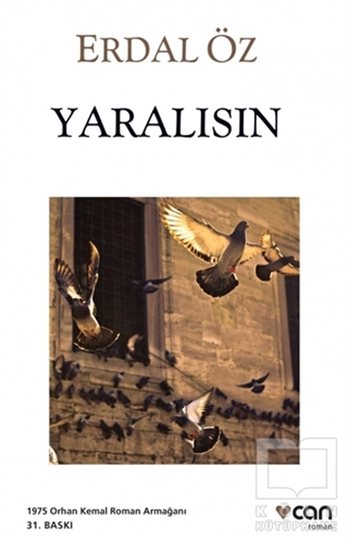 Erdal ÖzRomanYaralısın