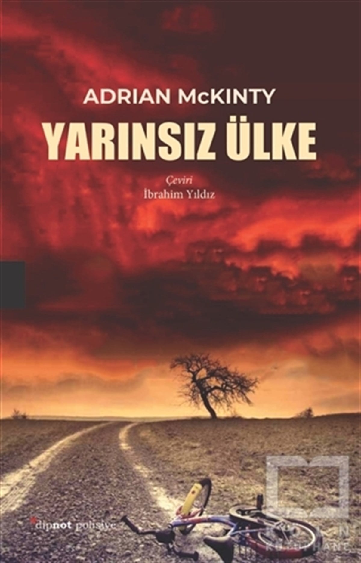 Adrian McKintyPolisiye Romanlar & Cinayet RomanlarıYarınsız Ülke