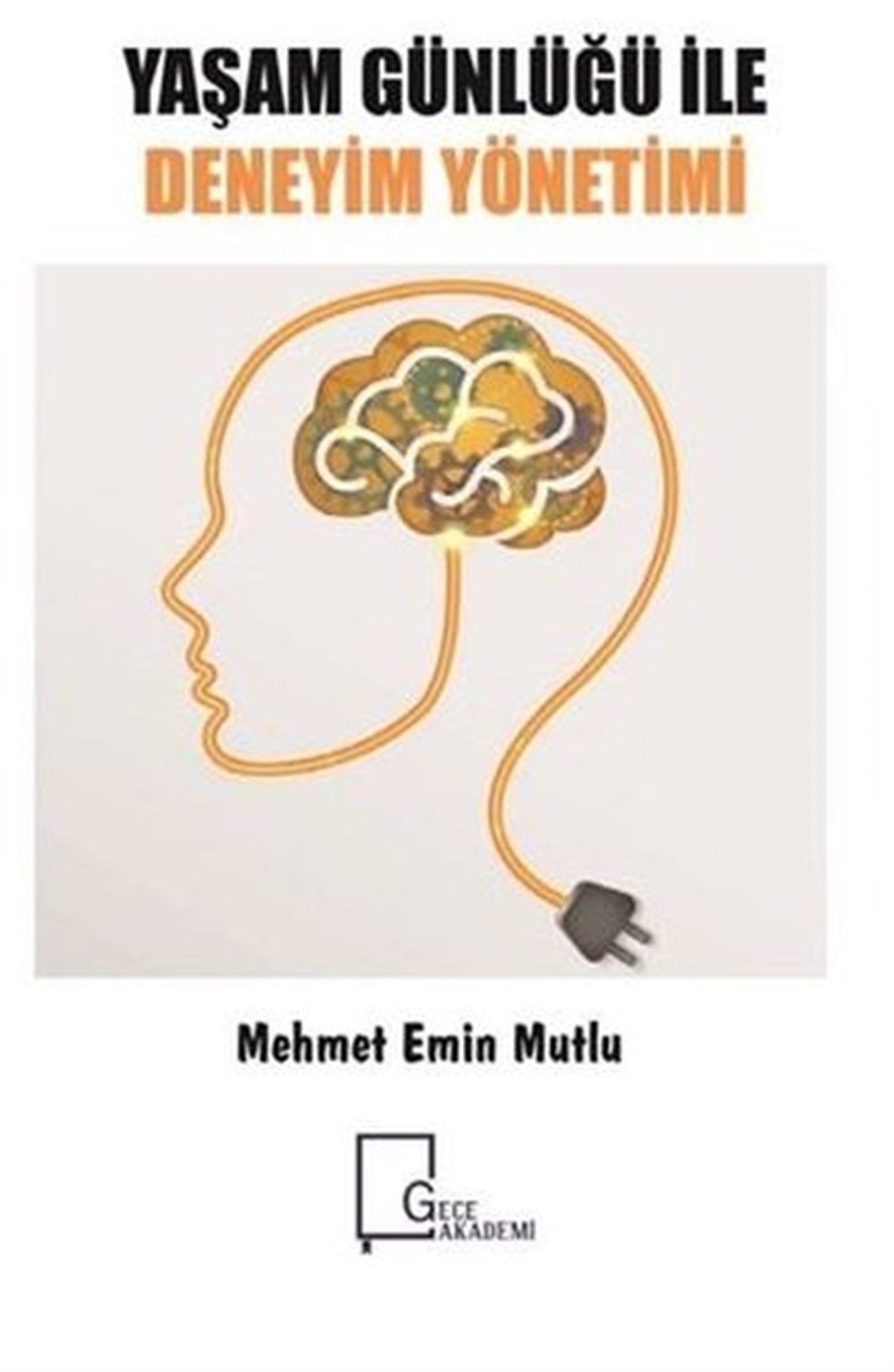 Mehmet Emin MutluEğitimYaşam Günlüğü ile Deneyim Yönetimi