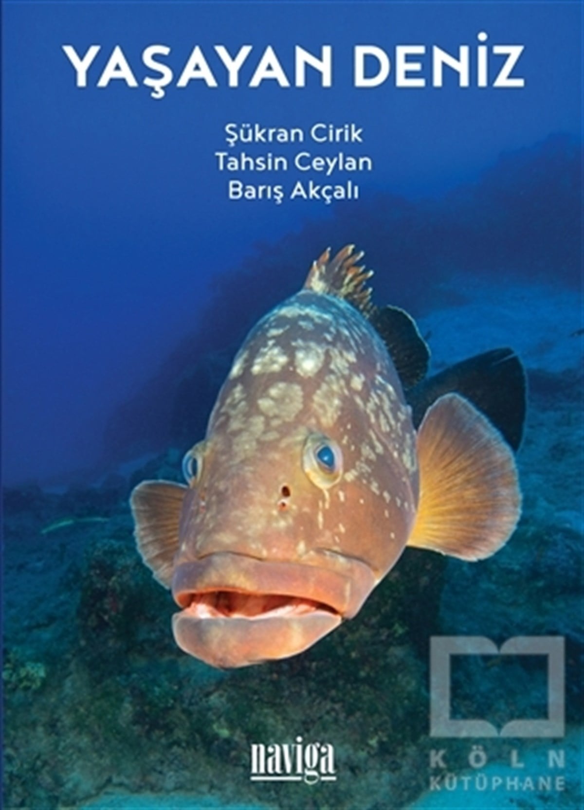 Şükran CirikDenizcilikYaşayan Deniz