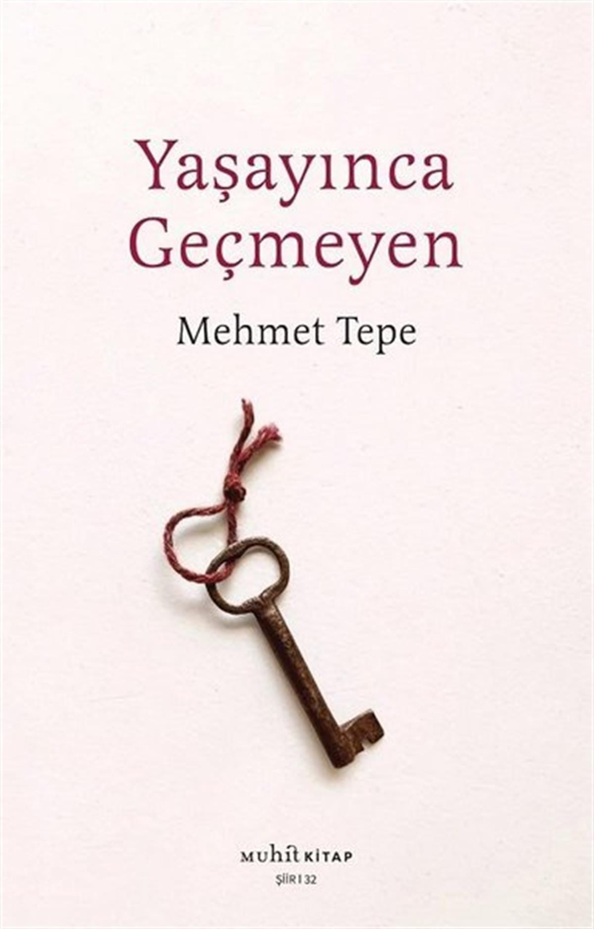 Mehmet TepeTürk ŞiiriYaşayınca Geçmeyen