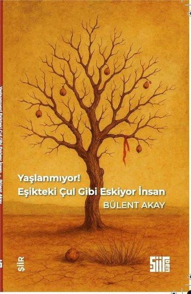 Bülent AkayTürk ŞiiriYaşlanmıyor! Eşikteki Çul Gibi Eskiyor İnsan