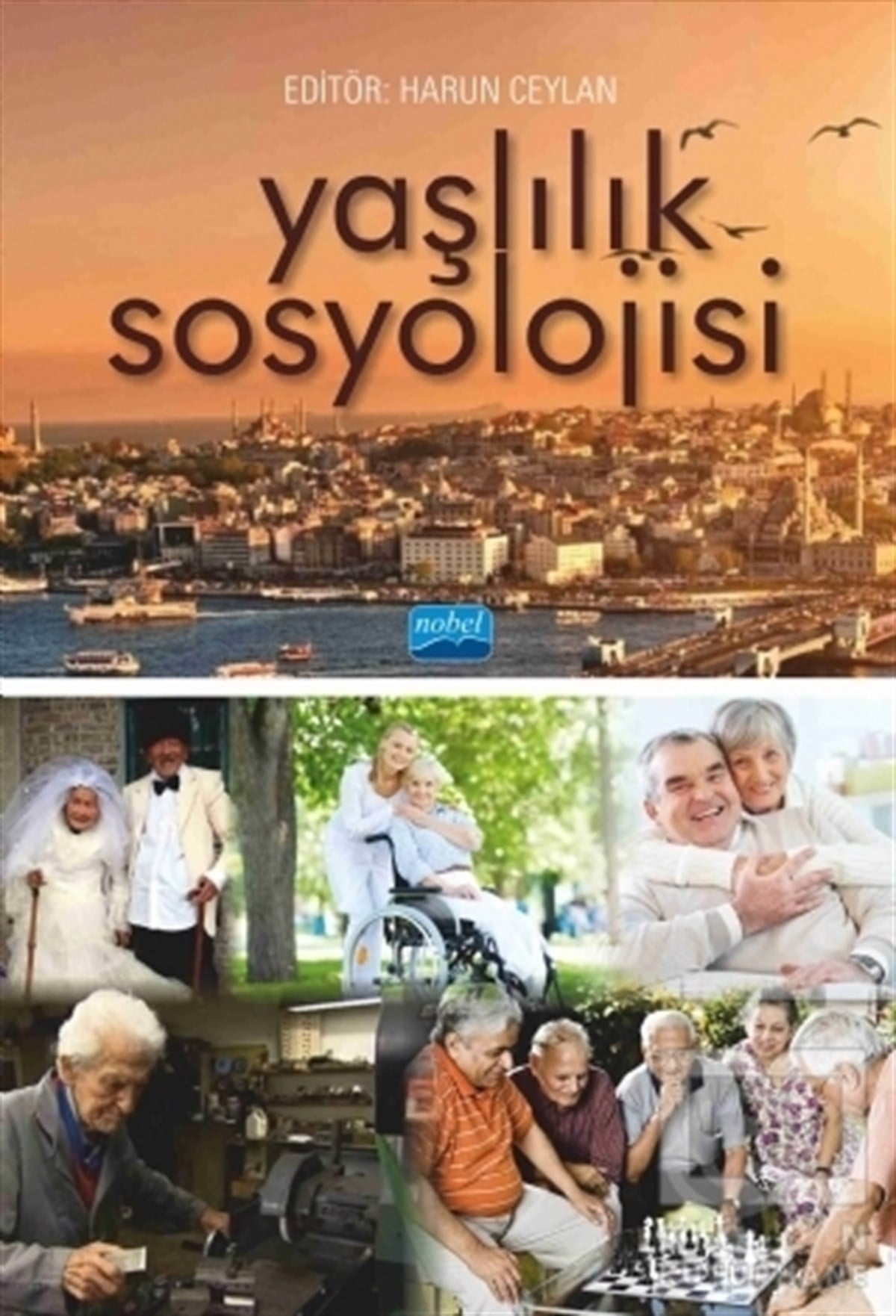 KolektifDiğerYaşlılık Sosyolojisi