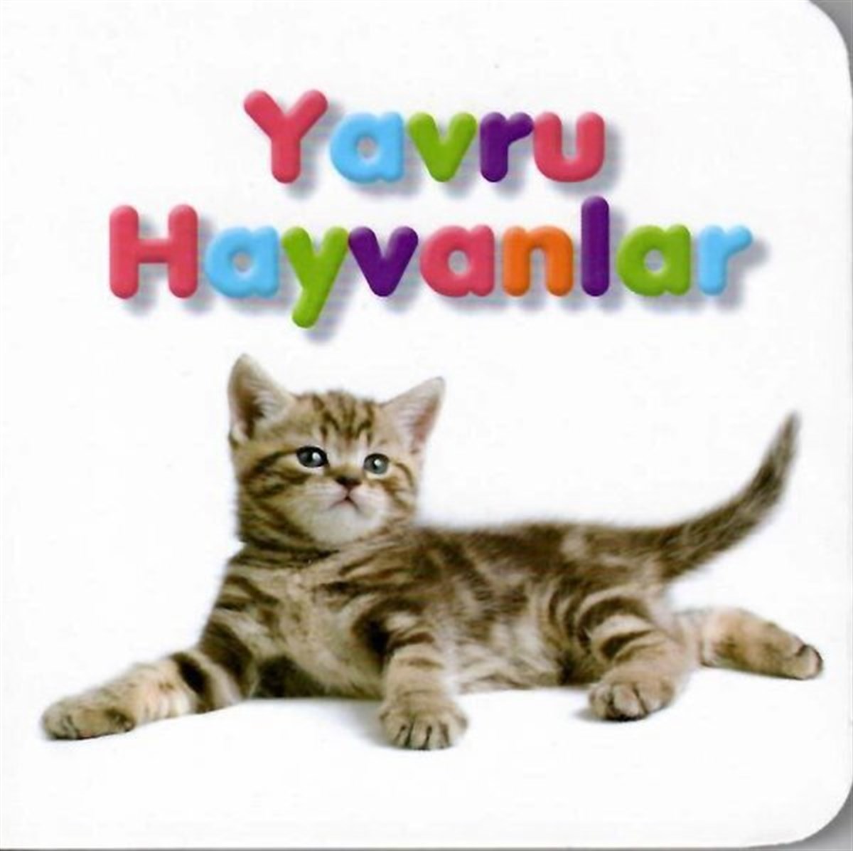 KolektifEgitim Etkinlik KitaplariYavru Hayvanlar-Küçük Kitaplar
