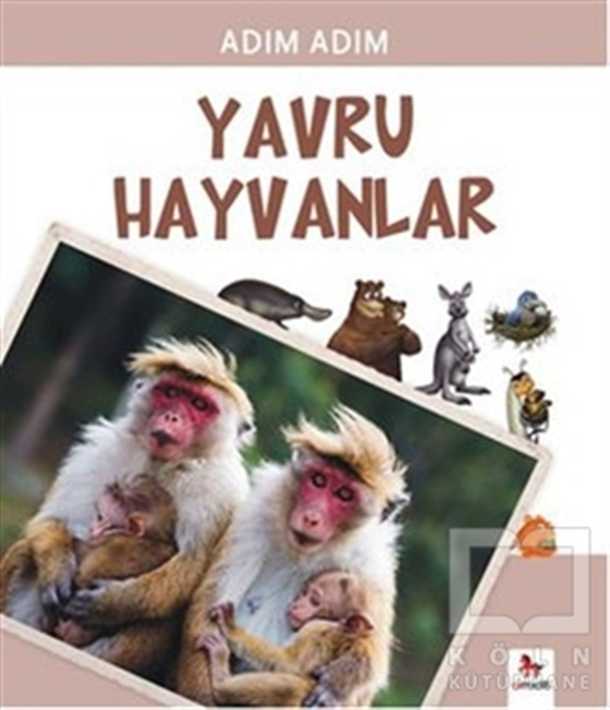 Fiametta DogiDiğerYavru Hayvanlar