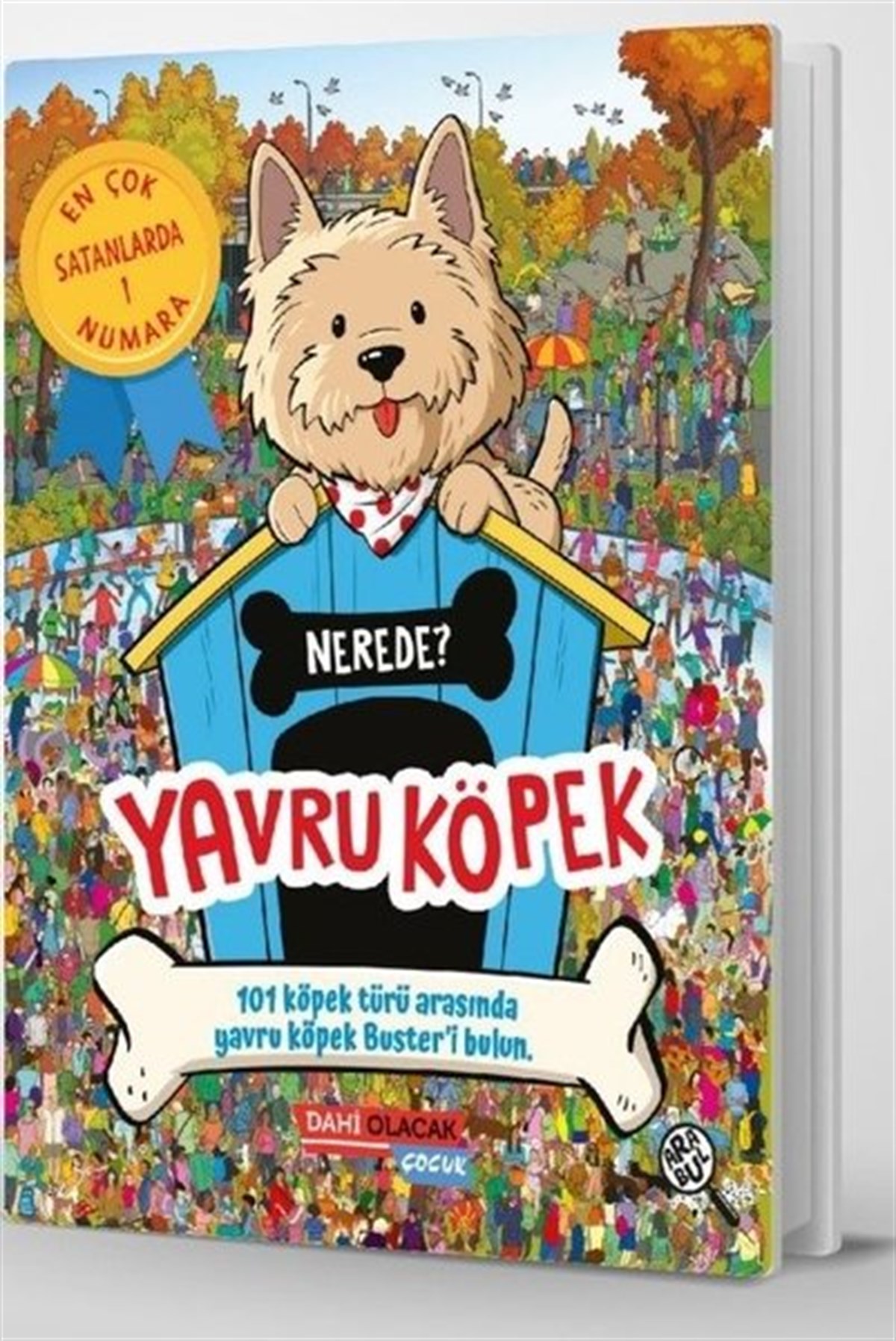 Frances EvansEtkinlik KitaplarıYavru Köpek Nerede?