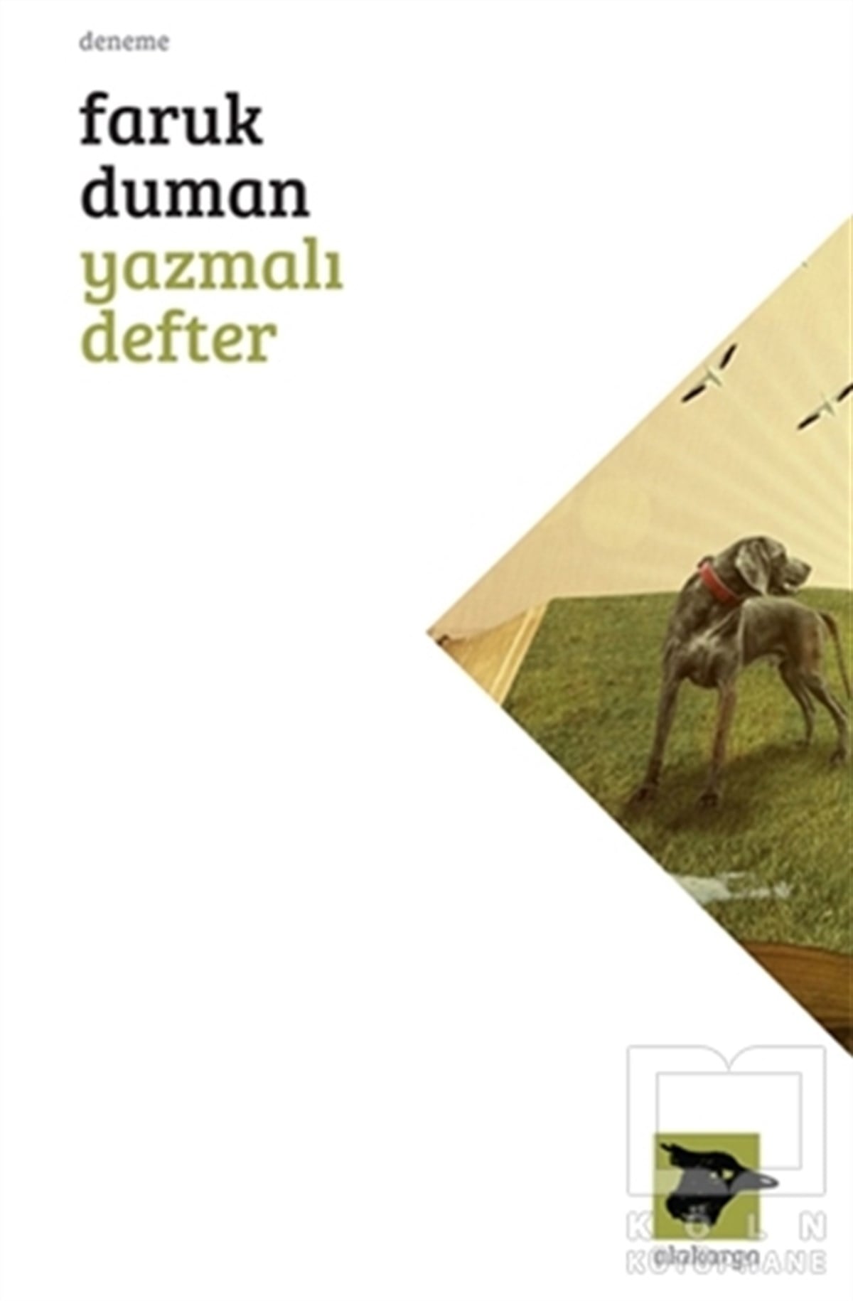 Faruk DumanDenemeYazmalı Defter