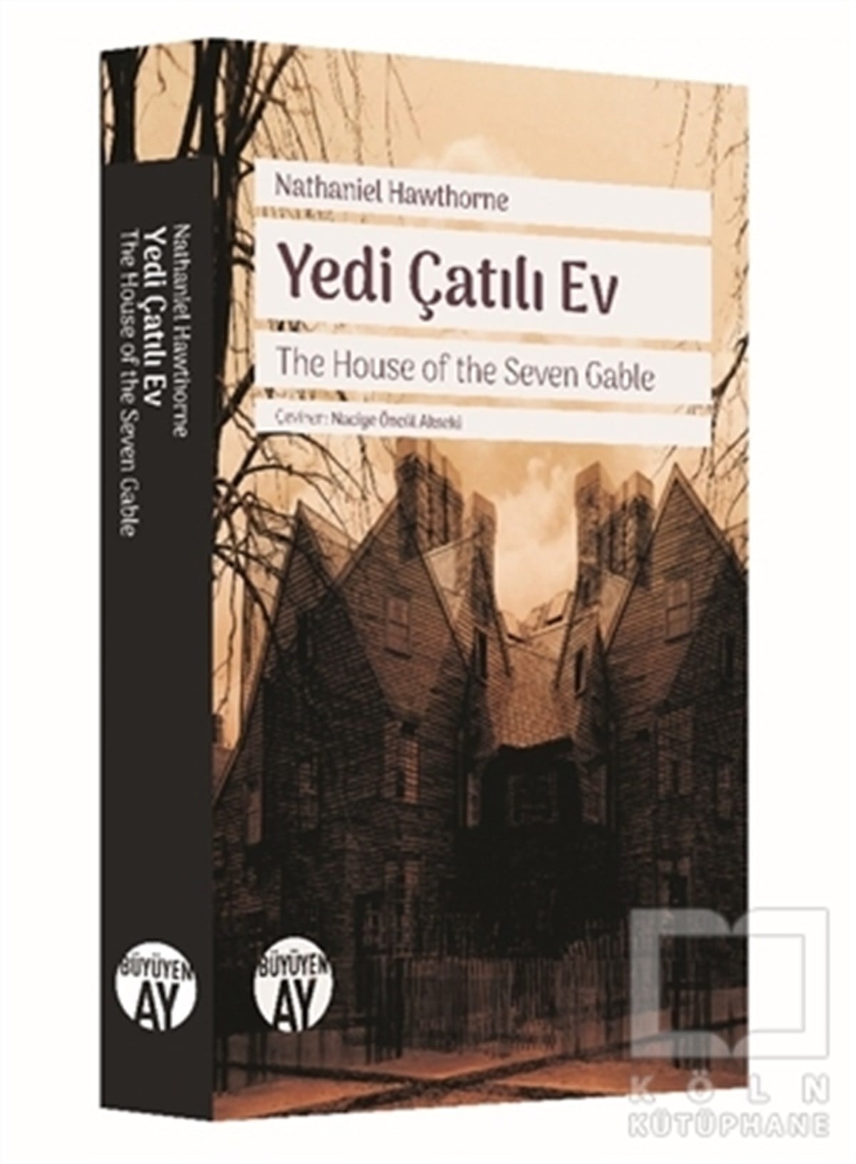 Nathaniel HawthorneRomanYedi Çatılı Ev