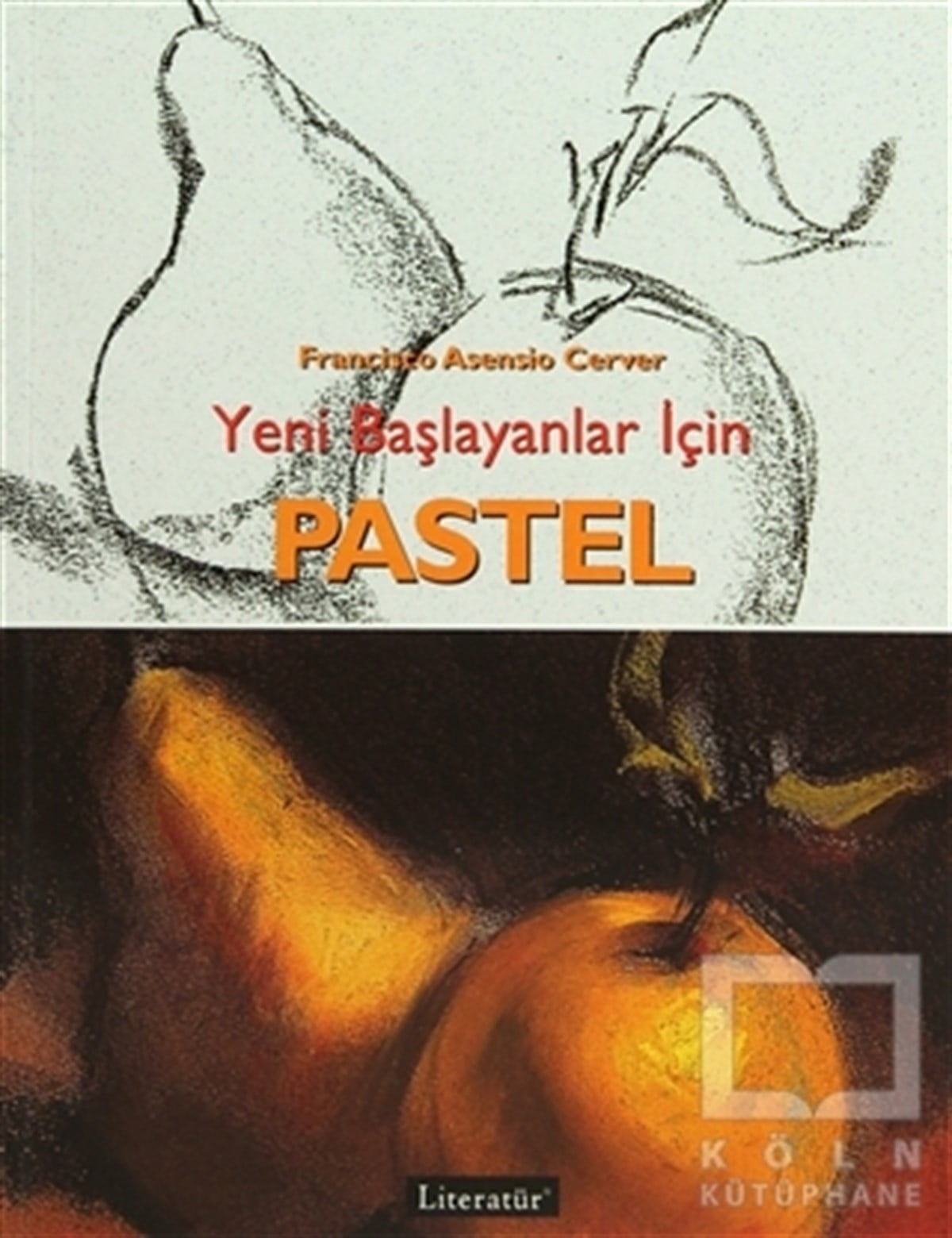 Francisco Asensio CerverResimYeni Başlayanlar İçin Pastel