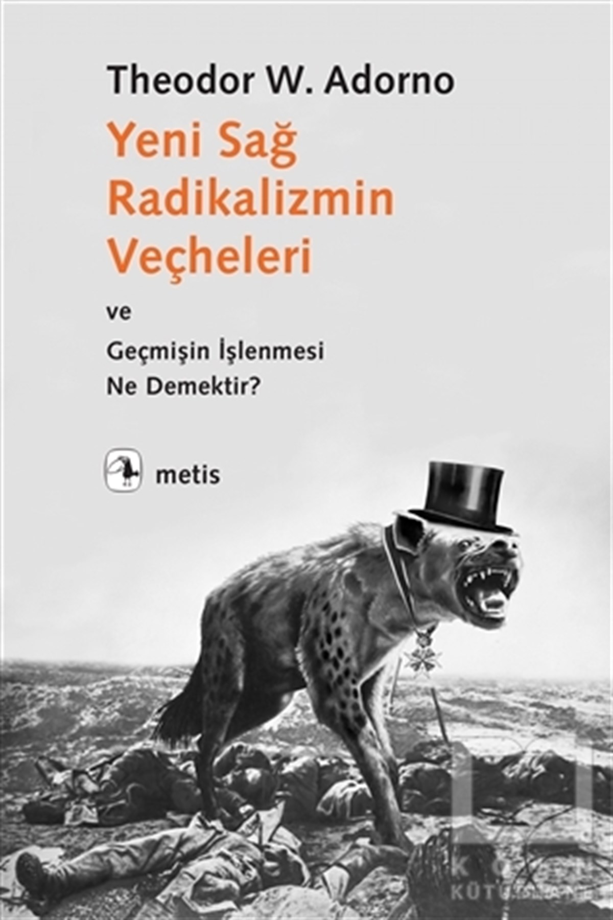 Theodor W. AdornoSiyaset Bilimi KitaplarıYeni Sağ Radikalizmin Veçheleri ve Geçmişin İşlenmesi Ne Demektir ?