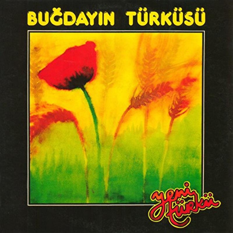 yeni-turku-bugdayin-turkusuyeni-turku--336afb.jpg