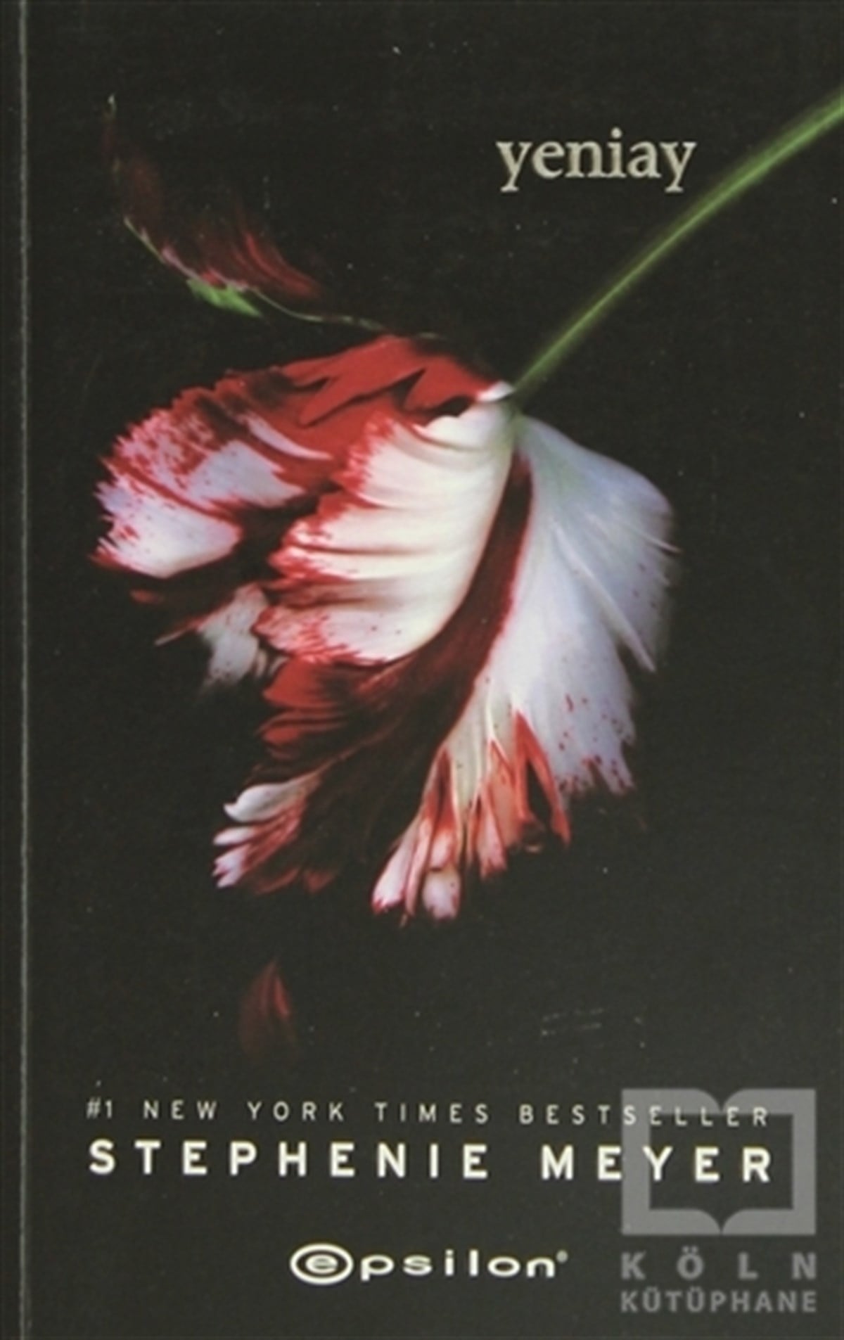 Stephenie MeyerAksiyon - MaceraYeniay