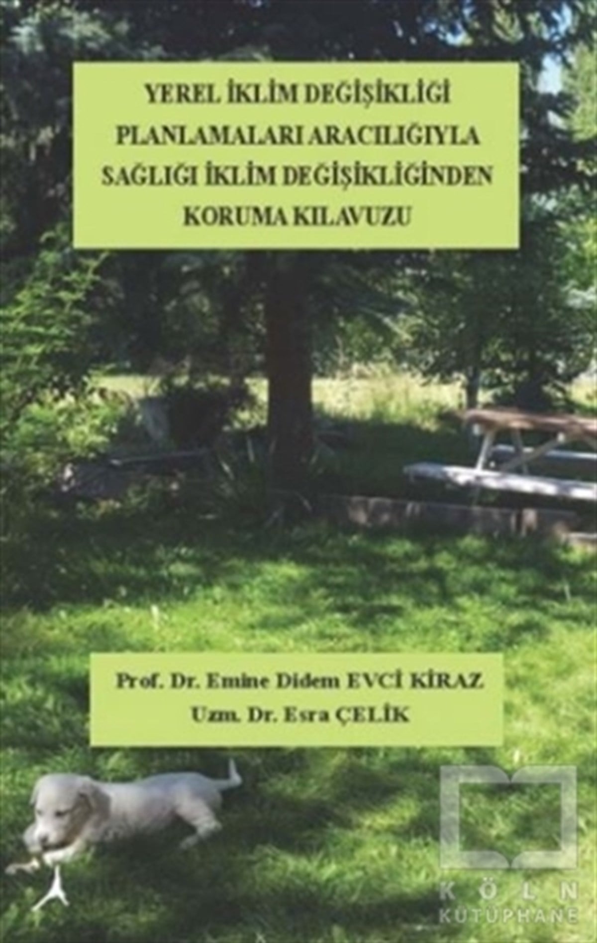 Emine Didem Evci KirazDiğerYerel İklim Değişikliği Planlamaları Aracılığıyla Sağlığı İklim Değişikliklerinden Koruma Klavuzu