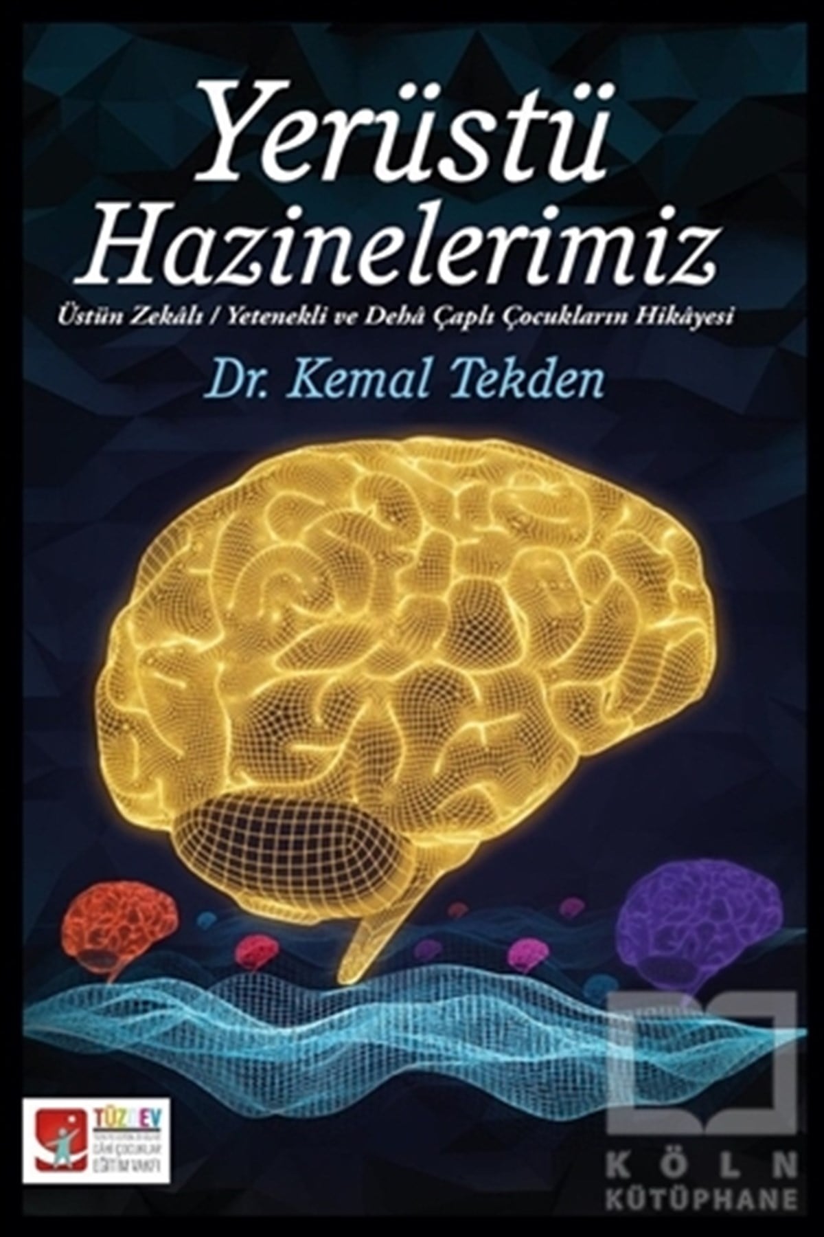 Kemal TekdenDiğerYerüstü Hazinelerimiz